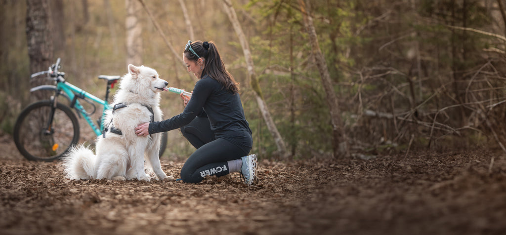 Premium supplements designed for your dog's unique needs