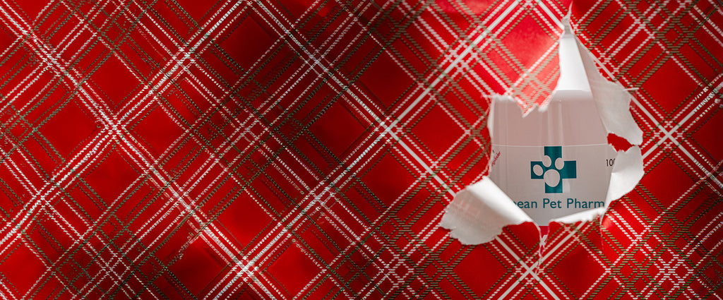 Don’t forget your dog’s Christmas gift